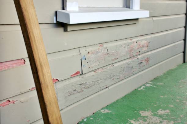 Best Engineered Wood Siding  in Grantsburg, WI